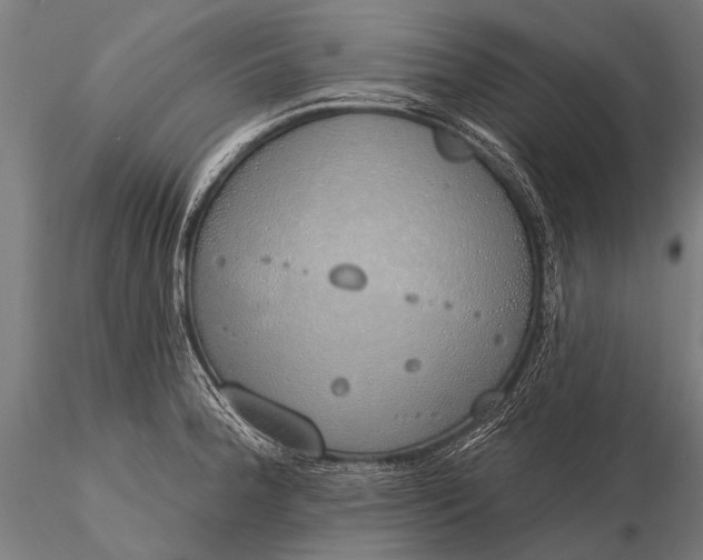 X0000116111188200912071316