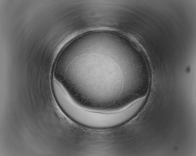 X0000116111189200912071316