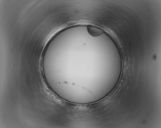 X0000116111190200912071316