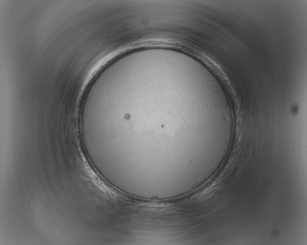 X0000116111192200912071315