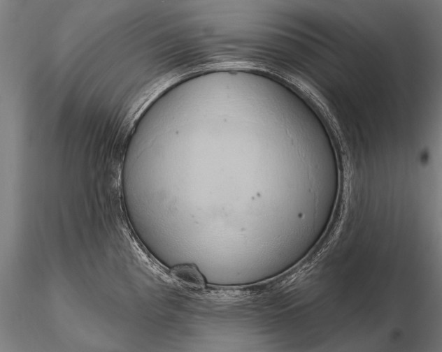 X0000116111193200912071315