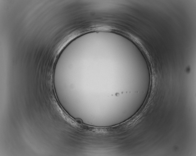 X0000116111194200912071315