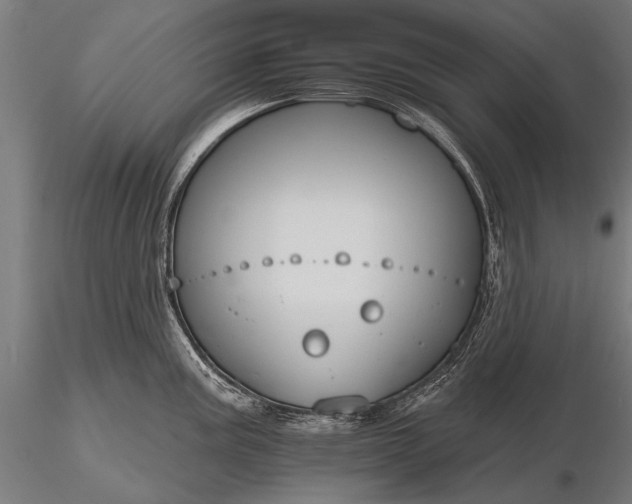 X0000116111195200912071315