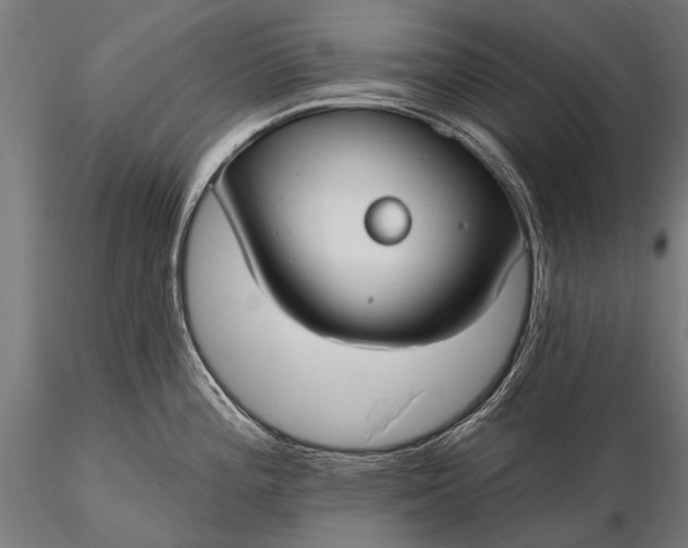 X0000116111196200912071315