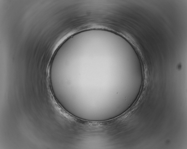 X0000116111198200912071315