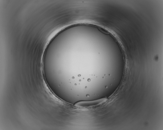 X0000116111199200912071315