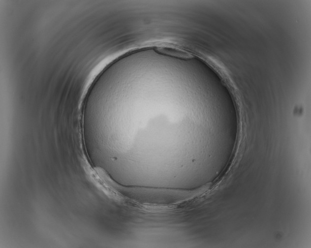 X0000116111200200912071315