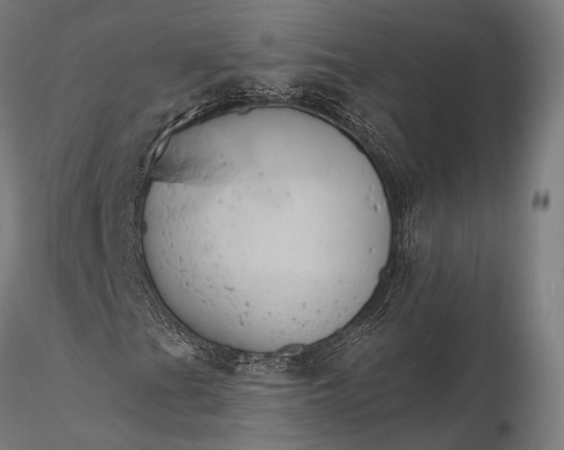 X0000116111201200912071315