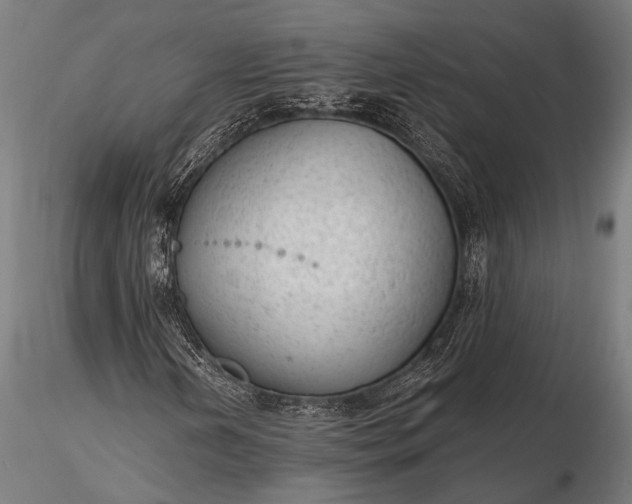 X0000116111202200912071315