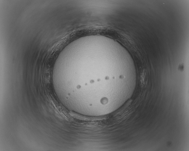 X0000116111204200912071315