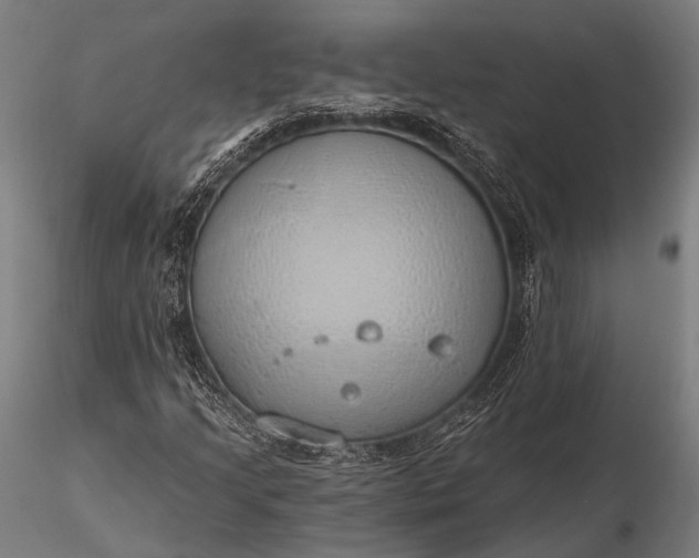 X0000116111205200912071315