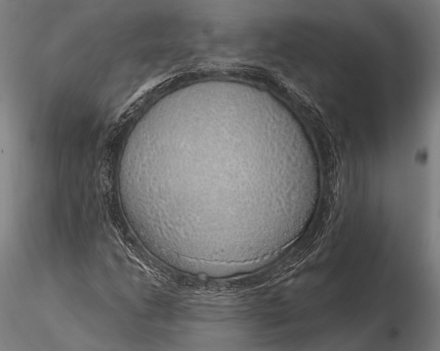 X0000116111206200912071315