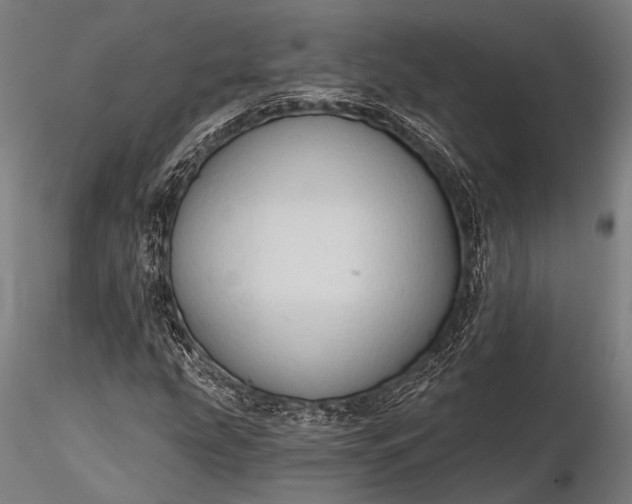 X0000116111207200912071315