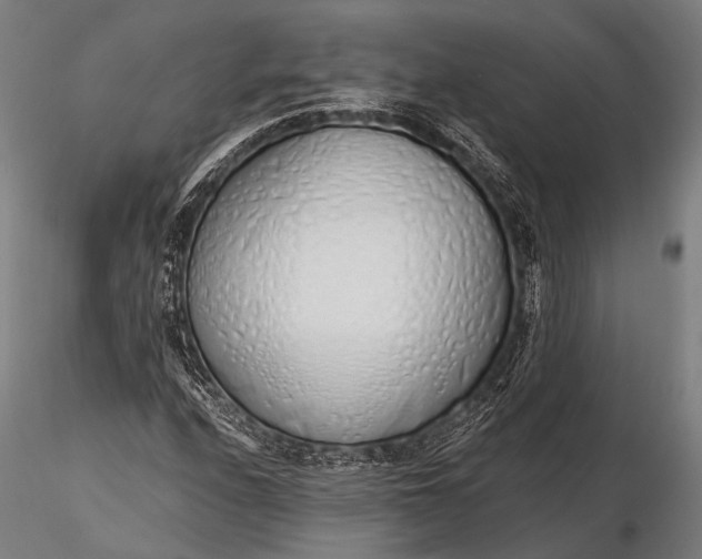 X0000116111208200912071315