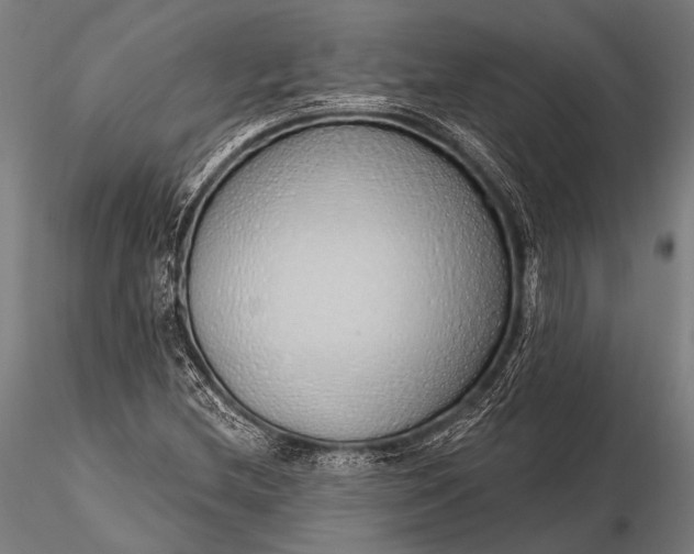 X0000116111212200912071315