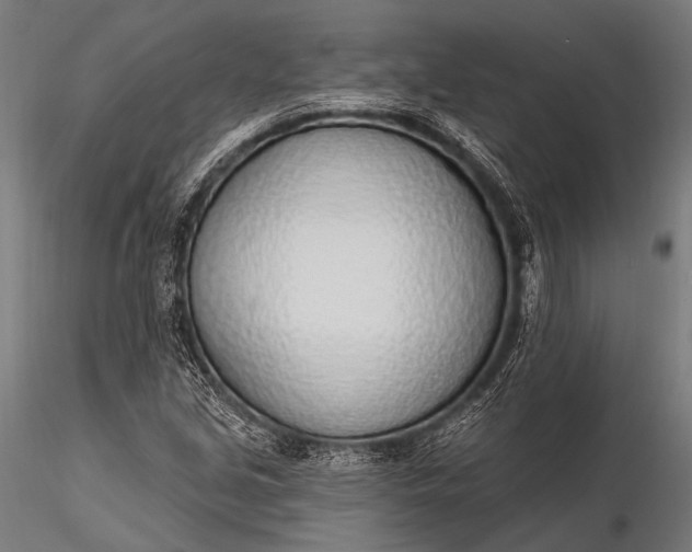 X0000116111213200912071315