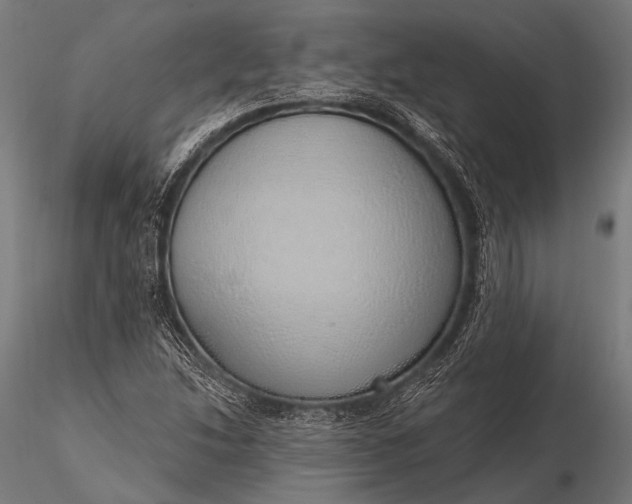 X0000116111214200912071315