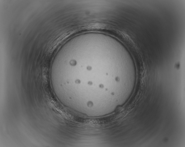 X0000116111217200912071315