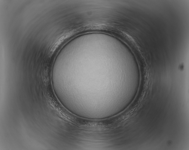 X0000116111218200912071315