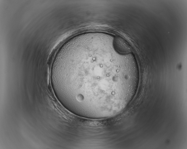 X0000116111219200912071315