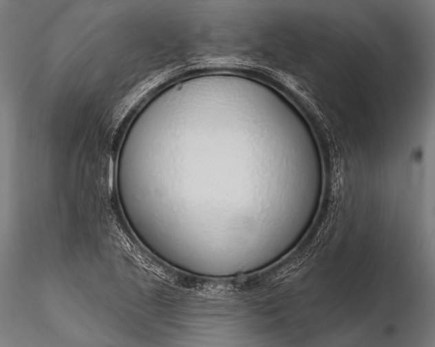 X0000116111221200912071315