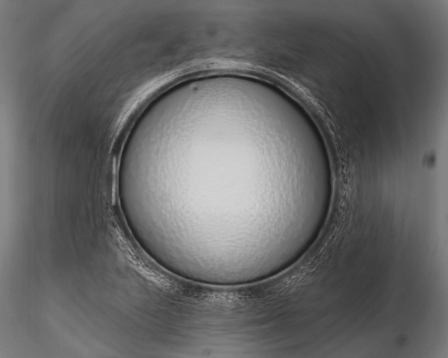 X0000116111223200912071315