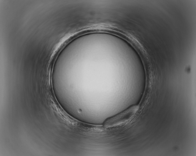 X0000116111224200912071315