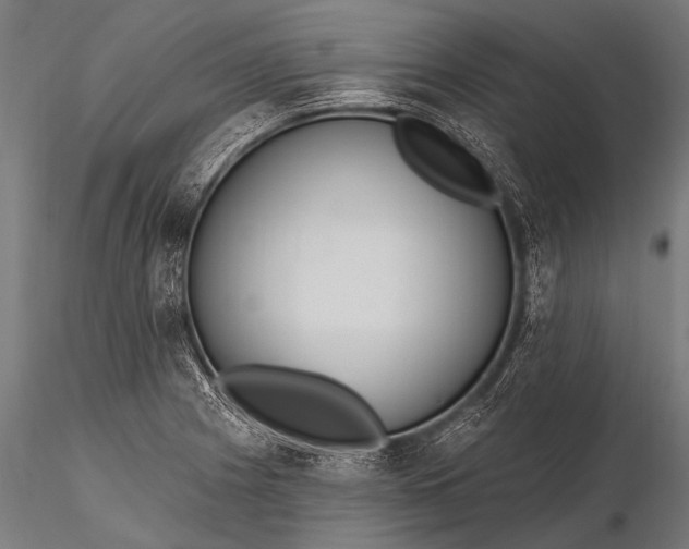 X0000116111225200912071315