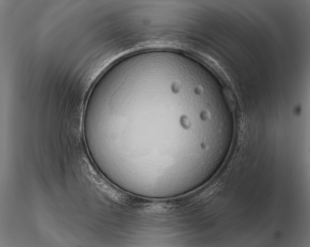 X0000116111228200912071315