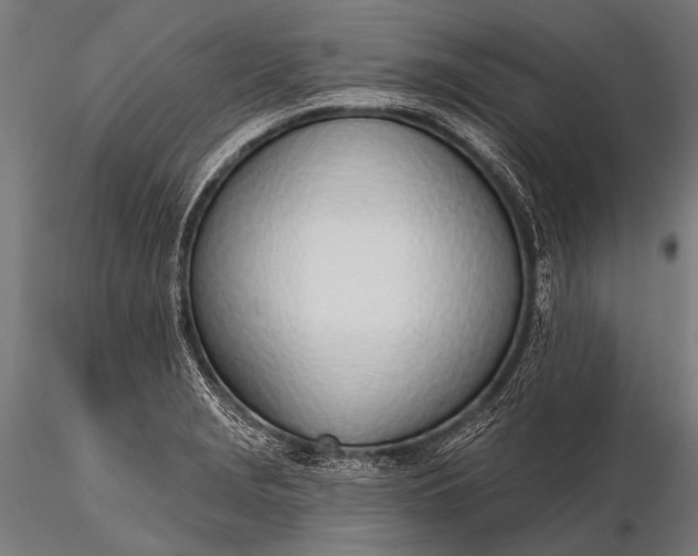 X0000116111229200912071315