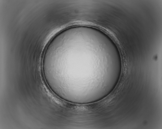 X0000116111231200912071315