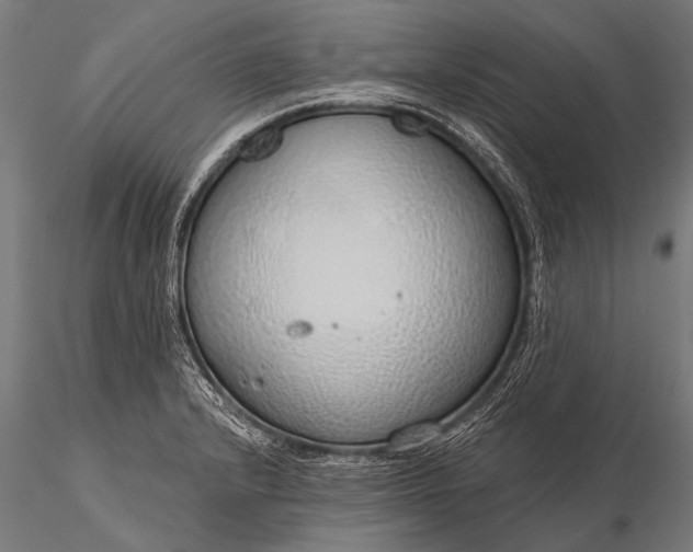 X0000116111232200912071315