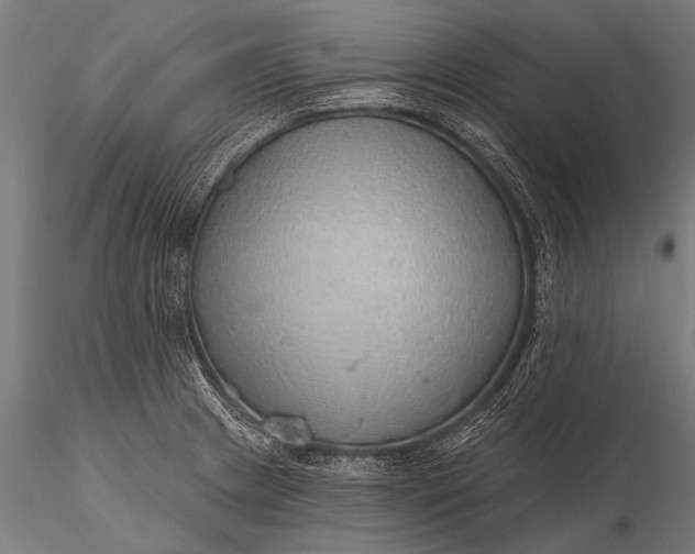 X0000116111233200912071315