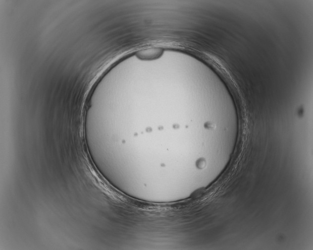 X0000116111236200912071315