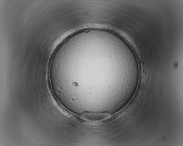 X0000116111237200912071315