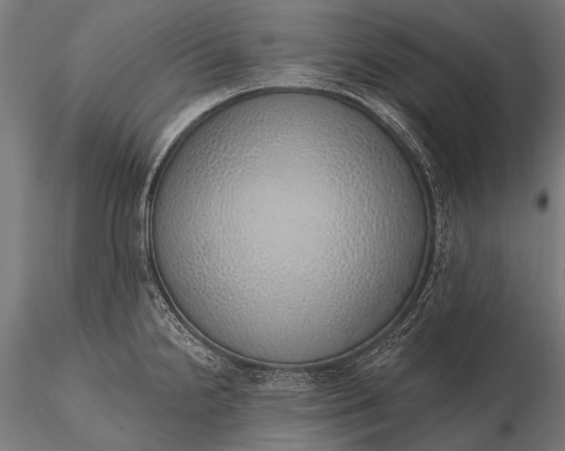 X0000116111238200912071315