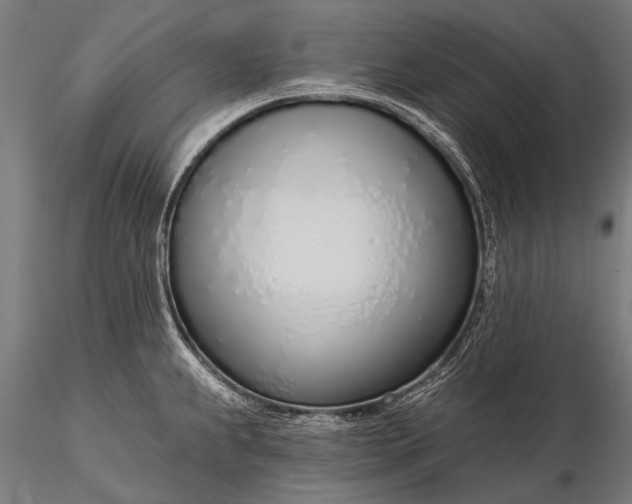 X0000116111239200912071315