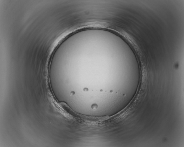 X0000116111240200912071315