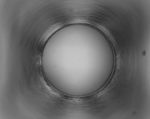 X0000116111241200912071315