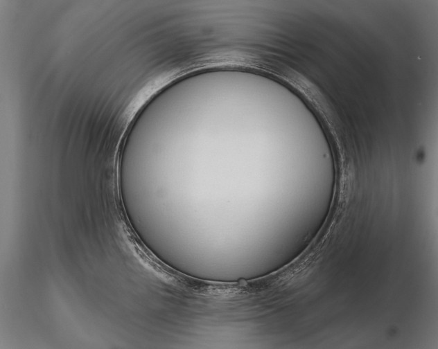 X0000116111242200912071315