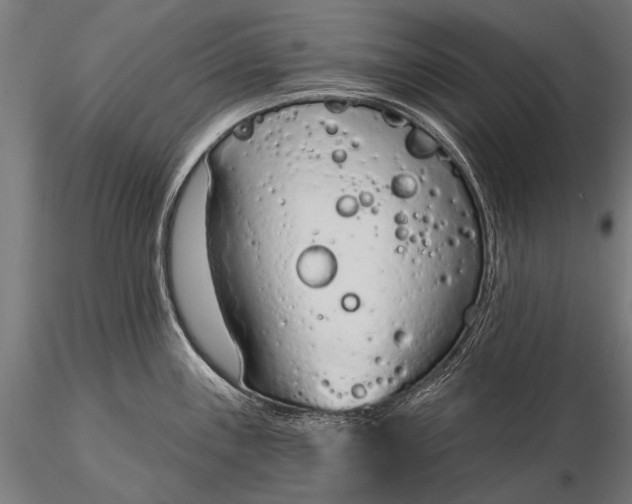 X0000116111243200912071315