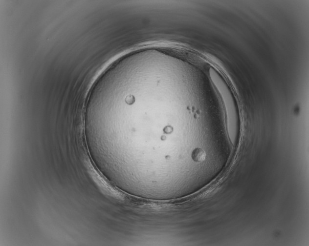 X0000116111244200912071315