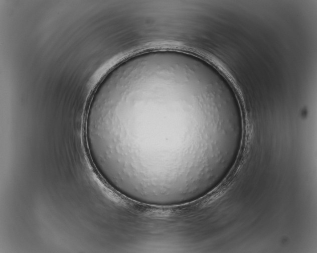 X0000116111245200912071315