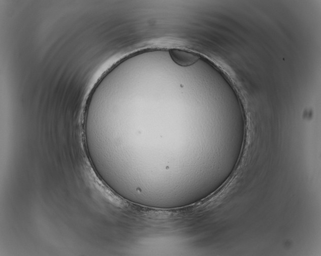 X0000116111248200912071315