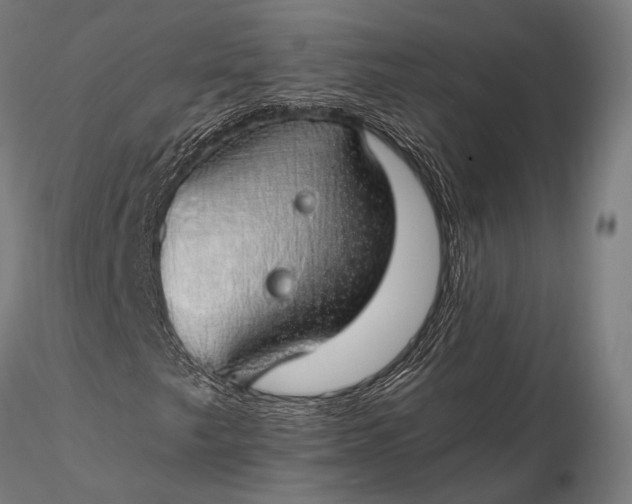 X0000116111249200912071315