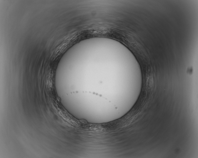 X0000116111250200912071315