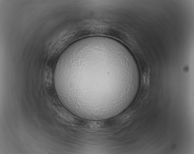 X0000116111251200912071315