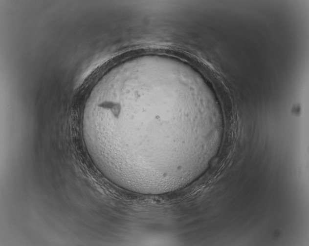 X0000116111255200912071315