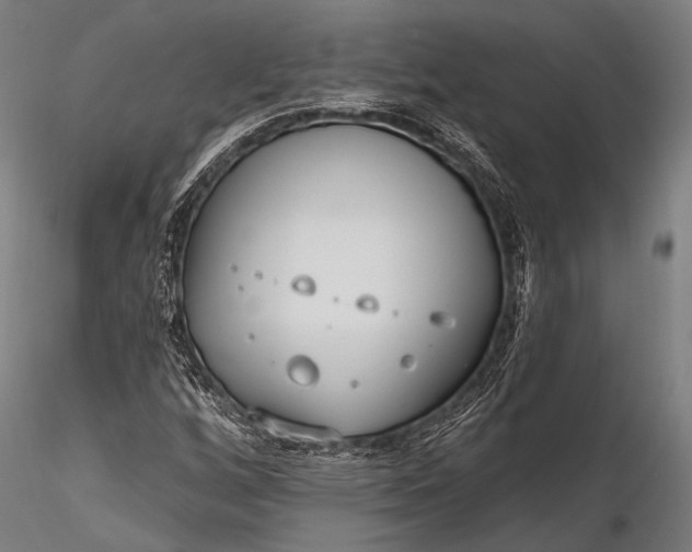 X0000116111256200912071315