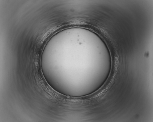 X0000116111257200912071315